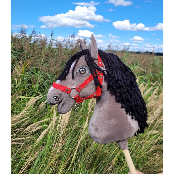 Hobby Horse - grullo horse A3