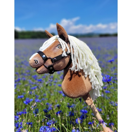 Hobby Horse - haflinger A4