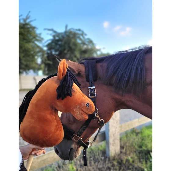 Hobby Horse - light bay horse A3