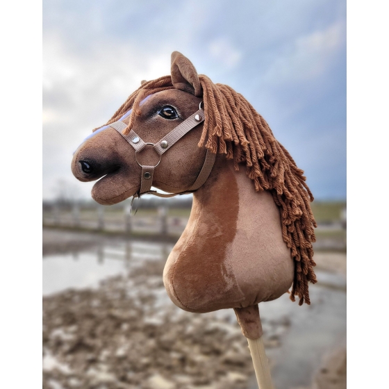Ireland Hobby Horsing Horse light chestnut