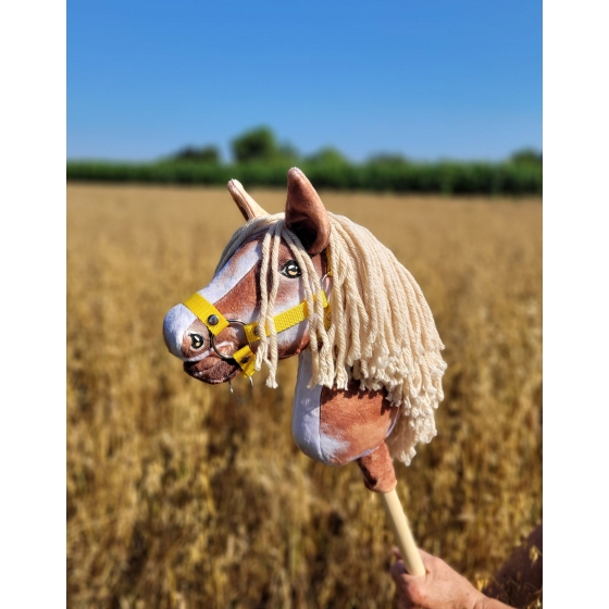 Hobby Horse - tobiano bay horse with a beige maneA4