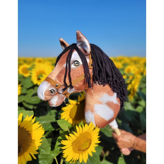 Hobby Horse - tobiano bay horse with a black mane A3