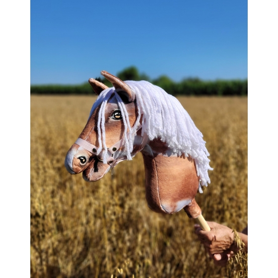 Hobby Horse - tobiano bay horse with a white mane A3