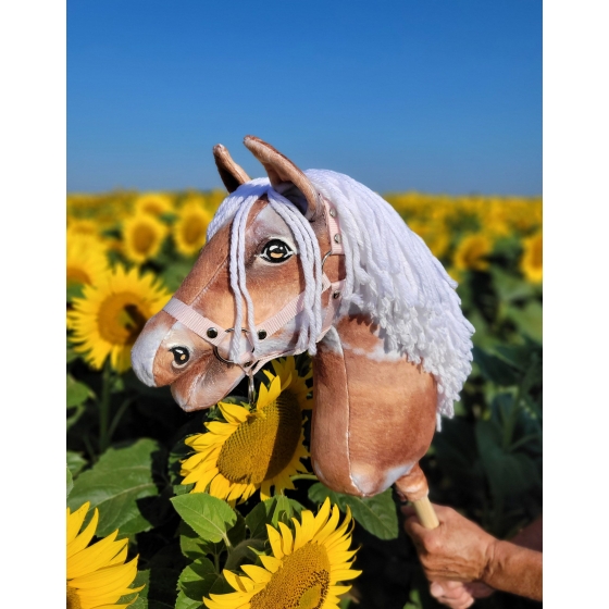 Hobby Horse - tobiano bay horse with a white mane A3