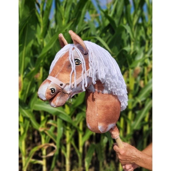 Hobby Horse - tobiano bay horse with a white mane A3