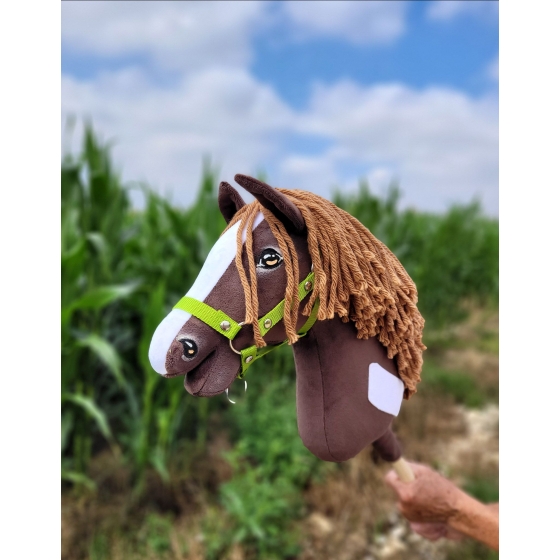 Hobby Horse - western dark bay horse A3