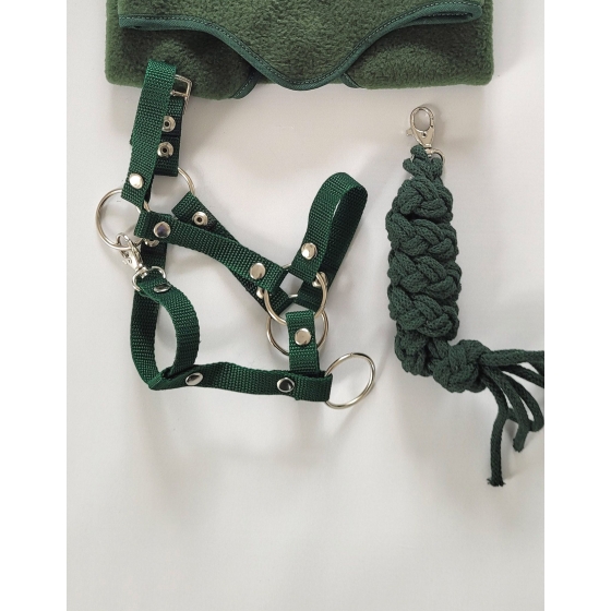 Set for Hobby Horse: the halter A3 + Tether made of cord - bottle green