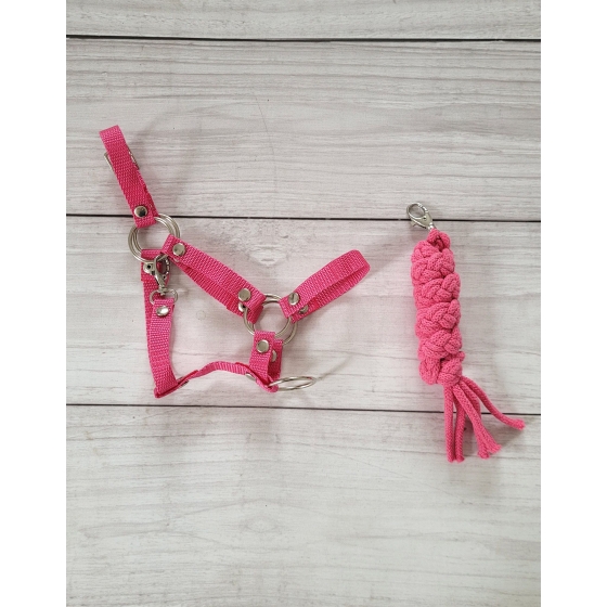 Set for Hobby Horse: the halter A3 + Tether made of cord - dark pink