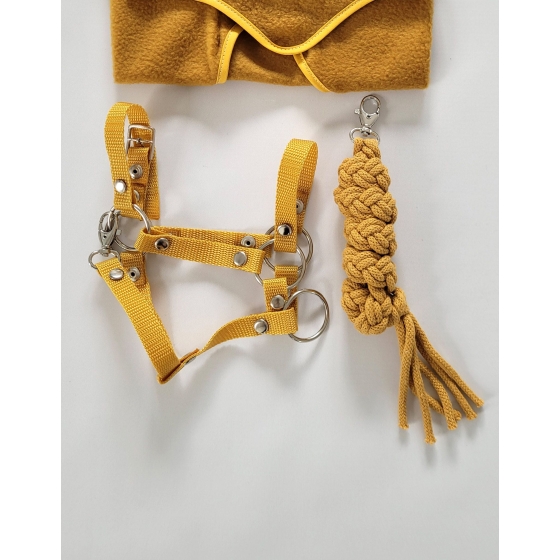 Set for Hobby Horse: the halter A3 + Tether made of cord - honey yellow