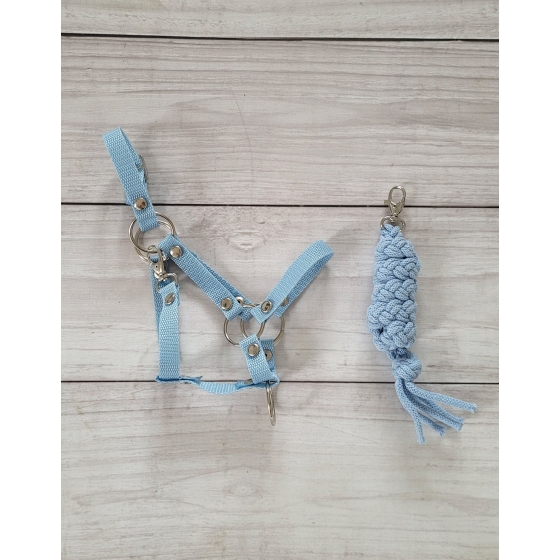 Set for Hobby Horse: the halter A3 + Tether made of cord - light blue