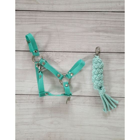 Set for Hobby Horse: the halter A3 + Tether made of cord - mint