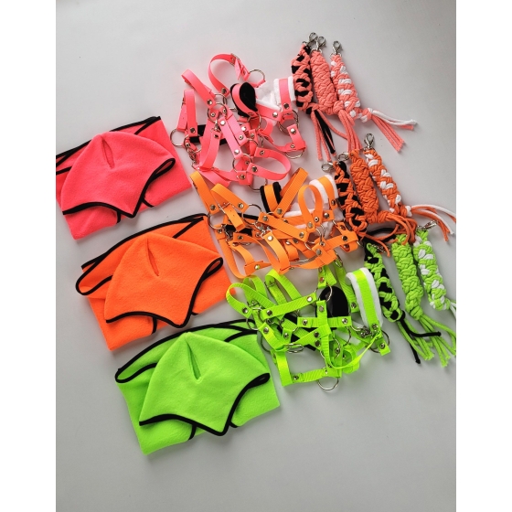 Set for Hobby Horse: the halter A3 + Tether made of cord - neon-pink