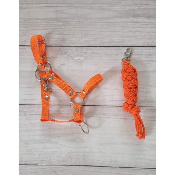 Set for Hobby Horse: the halter A3 + Tether made of cord - orange