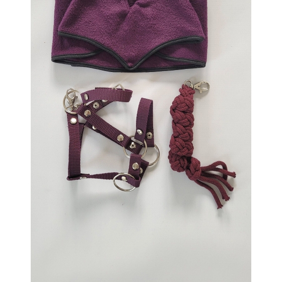 Set for Hobby Horse: the halter A3 + Tether made of cord - plum