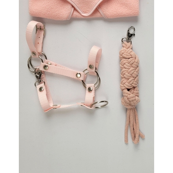Set for Hobby Horse: the halter A3 + Tether made of cord - powder pink