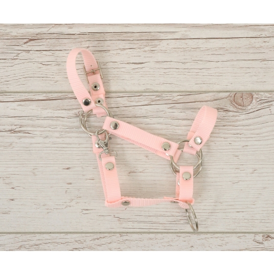Set for Hobby Horse: the halter A3 + Tether made of cord - powder pink
