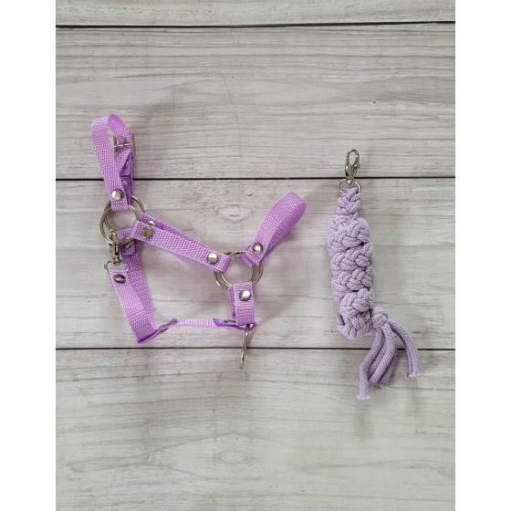 Set for Hobby Horse: the halter A3 + Tether made of cord - purple