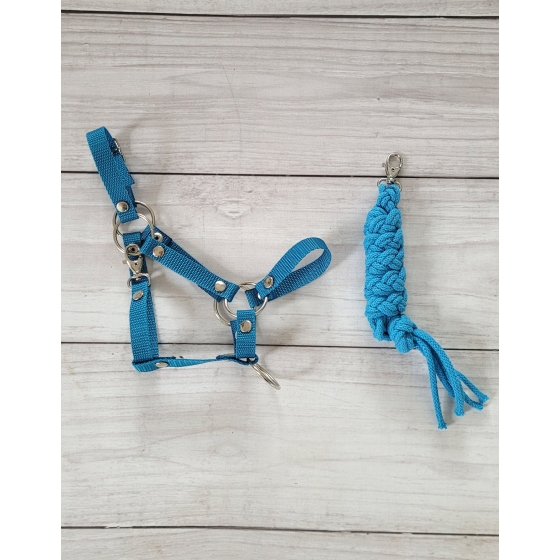 Set for Hobby Horse: the halter A3 + Tether made of cord - turquoise