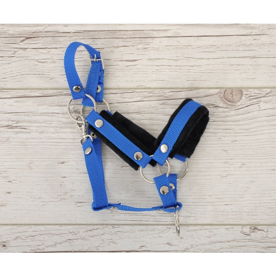 The adjustable halter for Hobby Horse A3 - blue with black furry