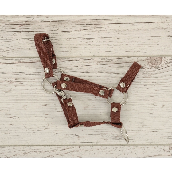 The adjustable halter for Hobby Horse A3 - brown