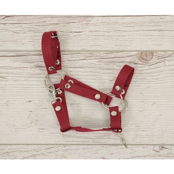 The adjustable halter for Hobby Horse A3 - burgundy