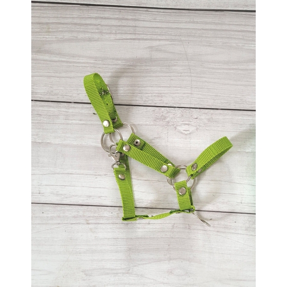 The adjustable halter for Hobby Horse A3 - lime