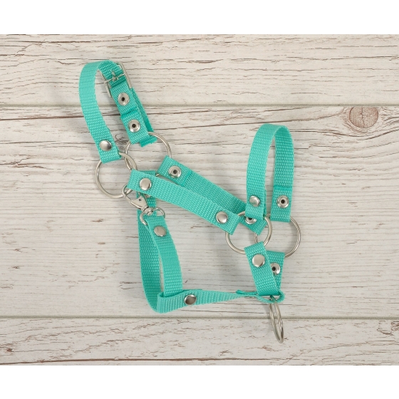 The adjustable halter for Hobby Horse A3 - mint