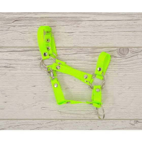The adjustable halter for Hobby Horse A3 - neon green
