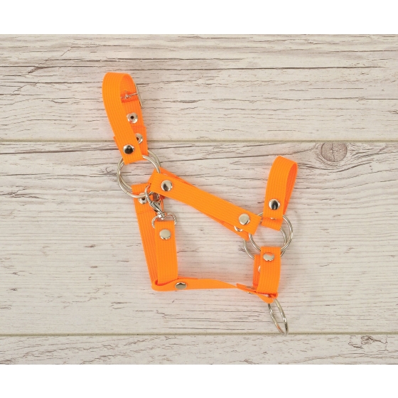 The adjustable halter for Hobby Horse A3 - neon orange