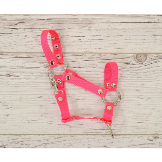 The adjustable halter for Hobby Horse A3 - neon pink
