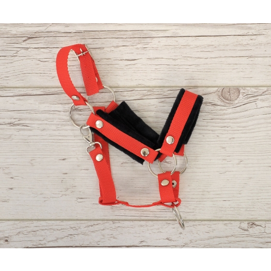 The adjustable halter for Hobby Horse A3 - red with black furry