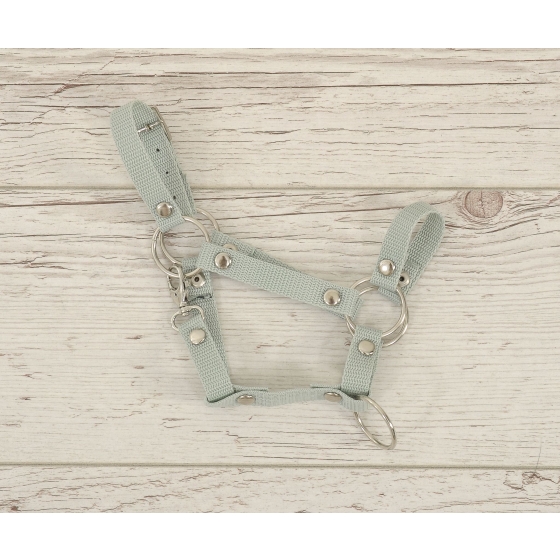 The adjustable halter for Hobby Horse A3 - sage