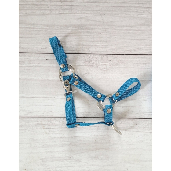 The adjustable halter for Hobby Horse A3 - turquoise